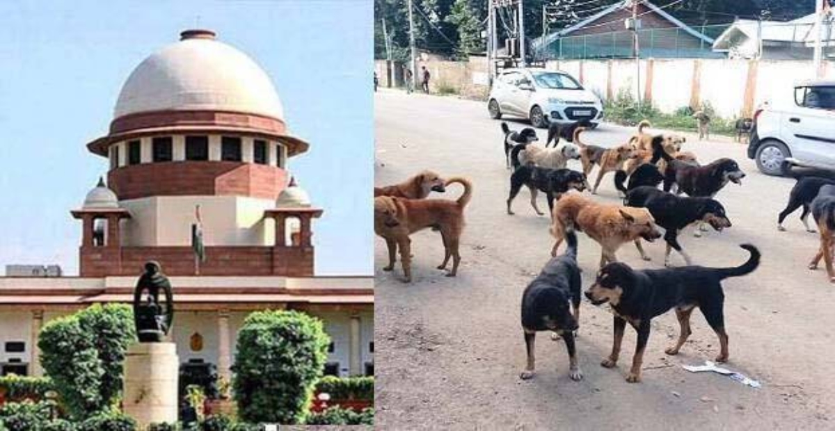 Supreme Court: आवारा कुत्तों की खबरें लिखते वक्त संयम बरते मीडिया