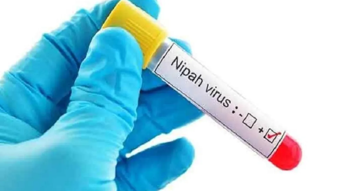 Kerala: वायनाड ज़िले में चमगादड़ों में निपाह वायरस (Nipah virus) होने की पुष्टि, सरकार ने दी सर्तक रहने की हिदायत